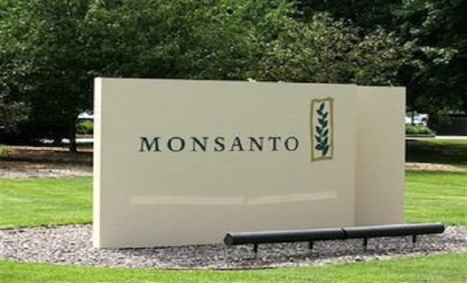 Monsanto’s Cancer Causing Glyphosate: The Contamination of Land, Water ...